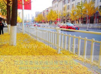 道路邊緣隔離護欄